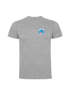Tričko bavlněné RCM Říčany | Malé logo | Šedá